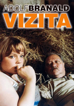 Kniha: Vizita - Adolf Branald