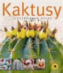 Kniha: Kaktusy - Ilustrovaný atlas