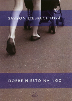 Kniha: Dobré miesto na noc - Savyon Liebrechtová