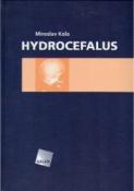Kniha: Hydrocefalus - Kala Miroslav