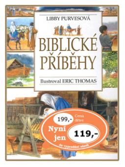 Kniha: Biblické příběhy - Libby Purvesová
