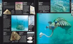 Autorsky chránený materiál © IKAR, a.s.