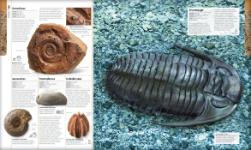 Autorsky chránený materiál © IKAR, a.s.