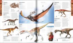 Autorsky chránený materiál © IKAR, a.s.