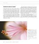 Autorsky chránený materiál © Computer Press, a.s.