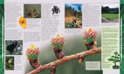 Autorsky chránený materiál © IKAR, a.s.