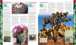 Autorsky chránený materiál © IKAR, a.s.