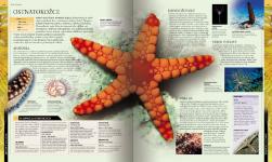 Autorsky chránený materiál © IKAR, a.s.