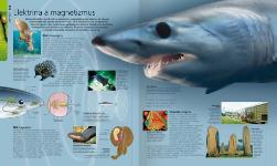 Autorsky chránený materiál © IKAR, a.s.