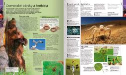 Autorsky chránený materiál © IKAR, a.s.