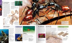 Autorsky chránený materiál © IKAR, a.s.