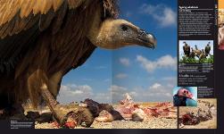 Autorsky chránený materiál © IKAR, a.s.